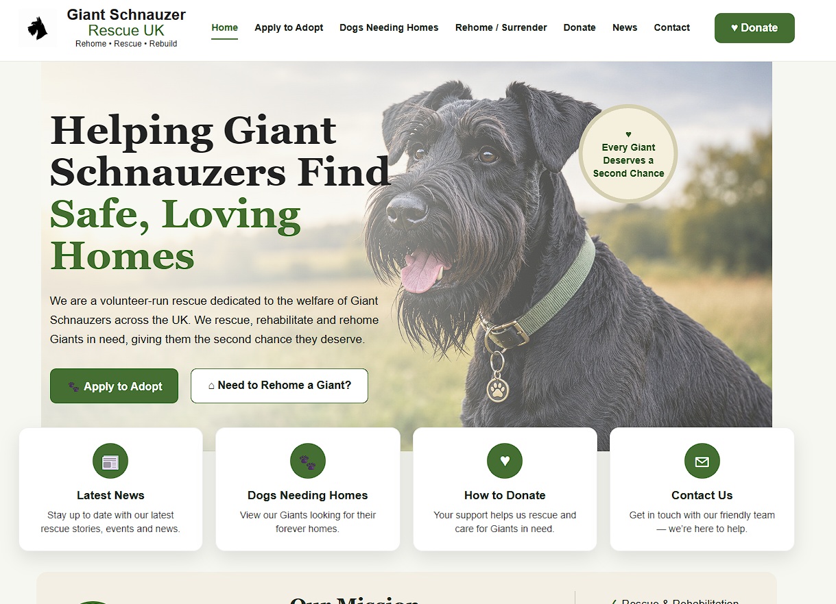 All New Website